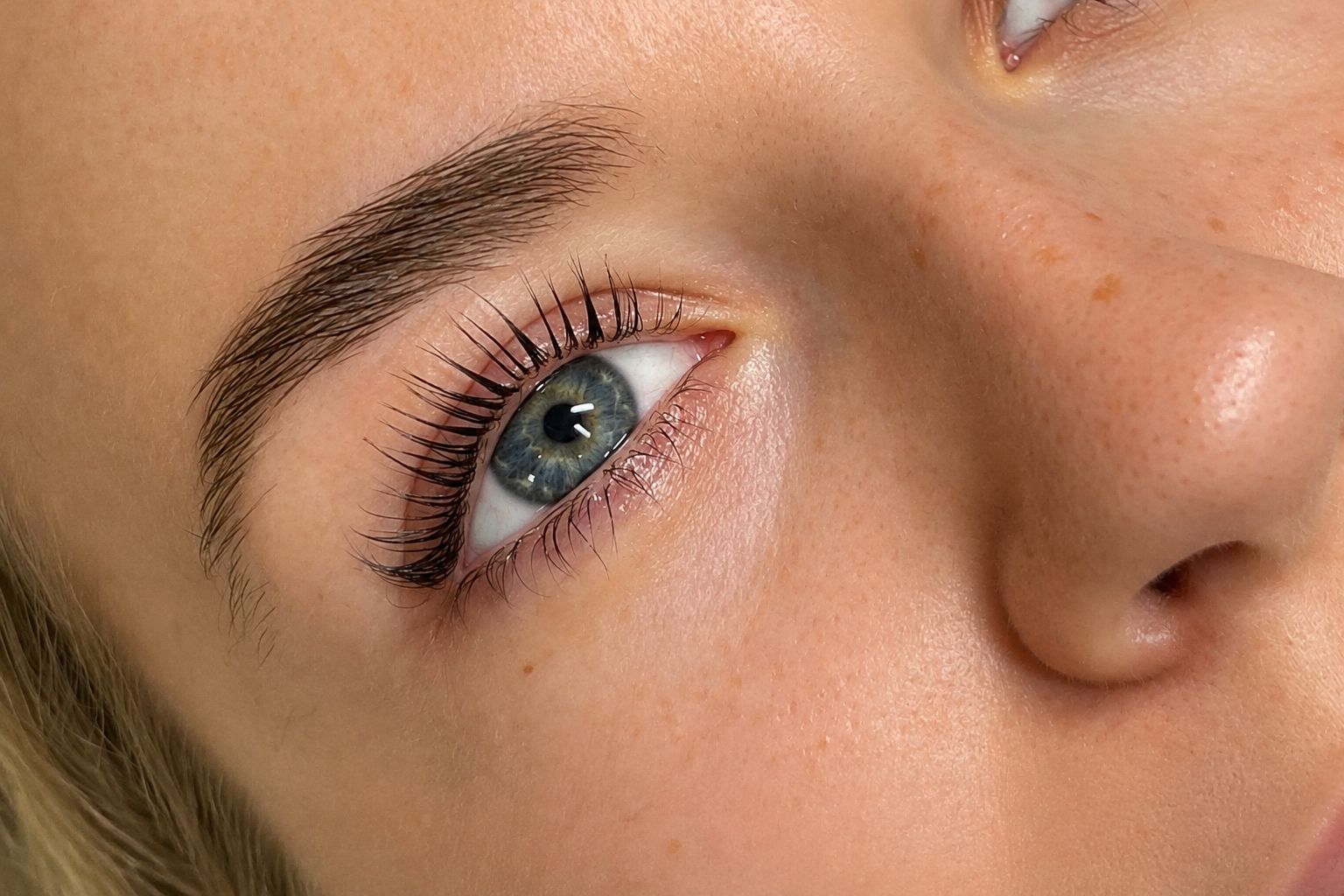 Lash close-up